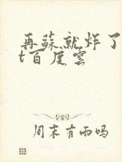 再苏就炸了txt百度云