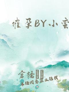 催孕BY小蛮腰