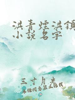 洪青烟洪镇国的小说名字