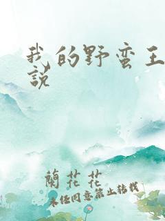 我的野蛮王妃小说