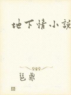 地下情小说