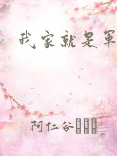 我家就是军火铺