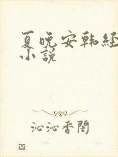 夏晚安韩经年的小说