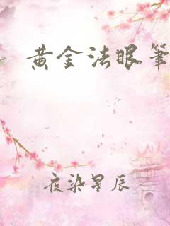 黄金法眼笔趣阁