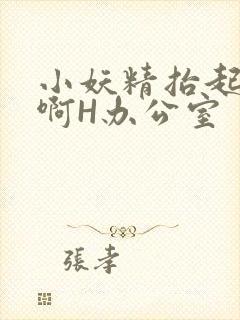 小妖精抬起臀嗯啊H办公室