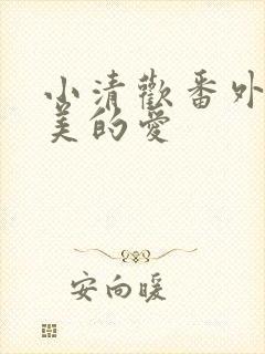 小清欢番外篇完美的爱