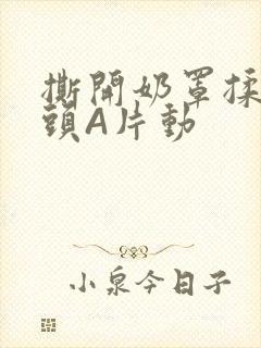 撕开奶罩揉吮奶头A片动