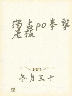 独占po拳击馆老板