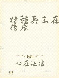 特种兵王在都市杨辰