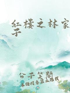 红楼之林家庶长子