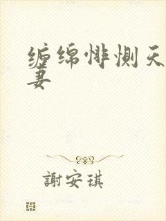 缠绵悱恻天价前妻