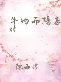 牛肉面阳春面txt