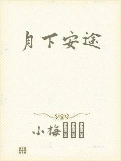 月下安途