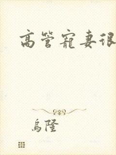 高管宠妻很丰满