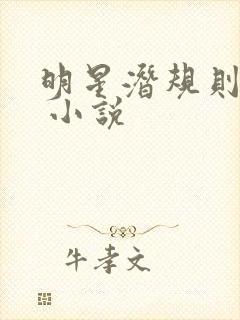 明星潜规则之皇 小说