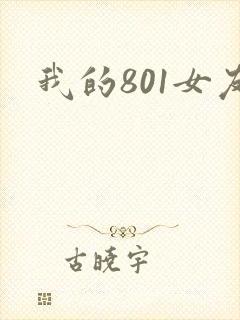 我的801女友