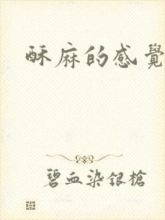 酥麻的感觉小说
