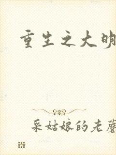 重生之大明王朝