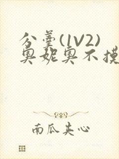 分羹(1V2)奥妮奥不摸鱼