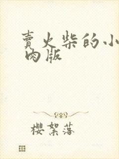 卖火柴的小男孩 肉版