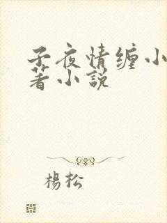 子夜情缠小说原著小说