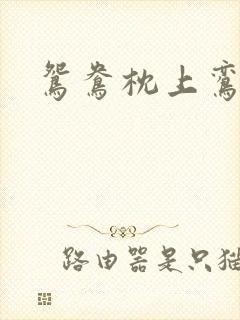 鸳鸯枕上鸾凤颠