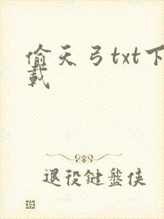 偷天弓txt下载