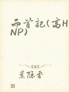 面首记(高H NP)