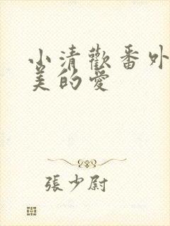 小清欢番外篇完美的爱