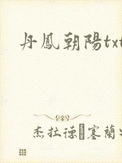 丹凤朝阳txt