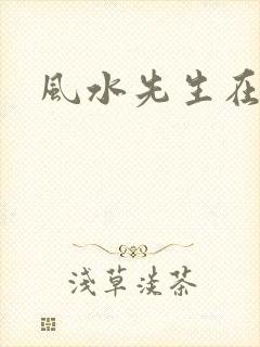风水先生在线