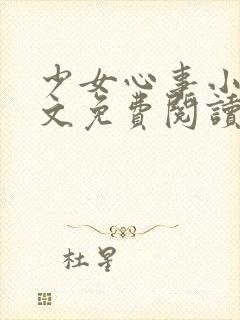 少女心事小说全文免费阅读