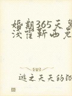 婚期365天慕浅霍靳西免费阅读