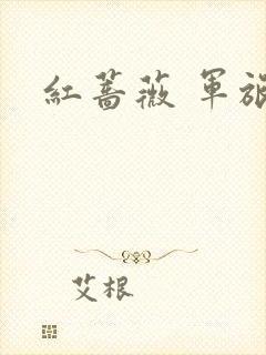 红蔷薇 军旅文