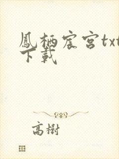 凤栖宸宫txt下载