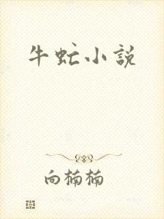 牛虻小说