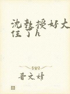 沈教授好大含不住了h