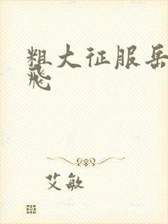 粗大征服岳女双飞