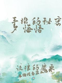 手机的秘密 七夕 悔悟