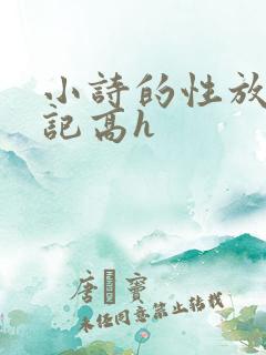 小诗的性放荡日记高h