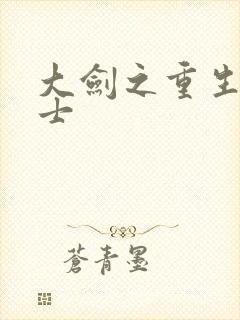 大剑之重生圣骑士