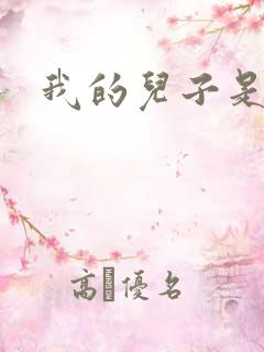 我的儿子是雍正