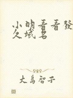 小明看看发布永久域名