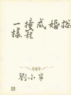 一撞成婚总裁花样宠