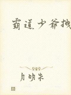 霸道少爷拽上我