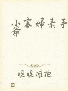 小寡妇素手擒四爷