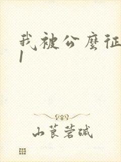 我被公么征服了1