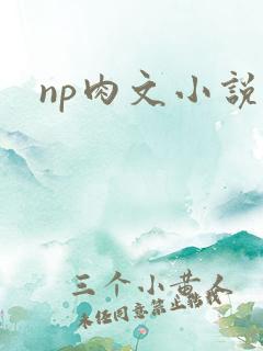 np肉文小说