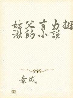 姑父有力挺送徐湫的小说