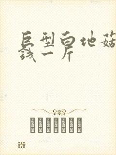 巨型白地菇多少钱一斤